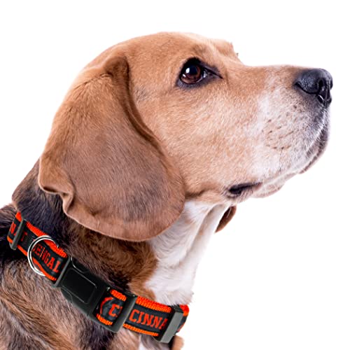 NFL Cincinnati Bengals Dog Collar - Medium, Heavy-Duty & Durable
