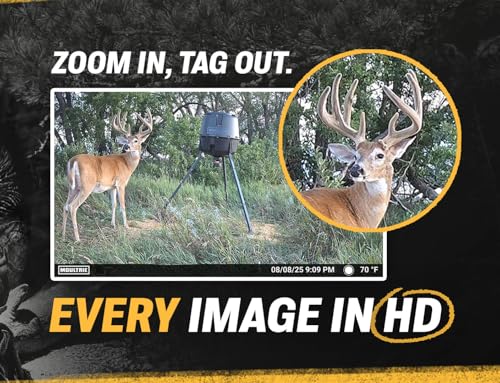 Solar Cellular Trail Camera - 40MP, HD Video, 1 Pack