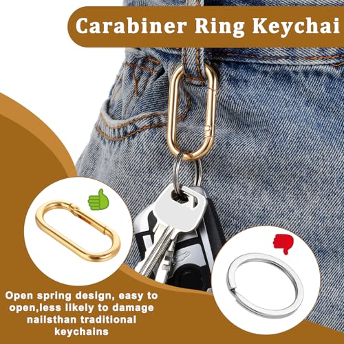 2Pcs Gold Carabiner Clips - Oval Metal Spring Snap Hooks for Bags & Keychains