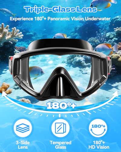 Snorkeling Gear Set for Adults - Dry Top Snorkel & Mask - Carbon Black