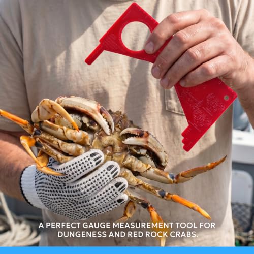 A1FISHER Crab Throw Line Kit 30FT with Lead Weights - Ctl007-KT