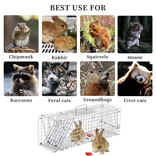 24 Inch Live Animal Trap - Durable Galvanized Steel, Easy Setup, Compact 24x7x8 Inches