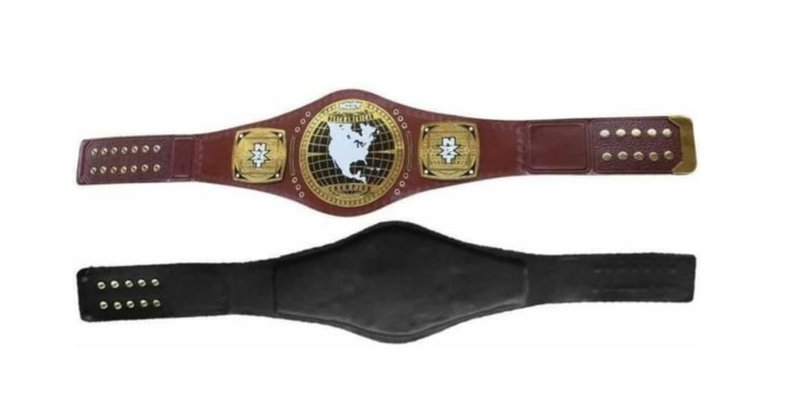 NXT Championship Belt, NXT World Heavyweight Wrestling Belt - Replica Title Adult size Heavyweight Championship TITLE (NXT North)