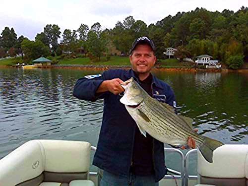 7" RF Glider Glide Bait - Kokanee