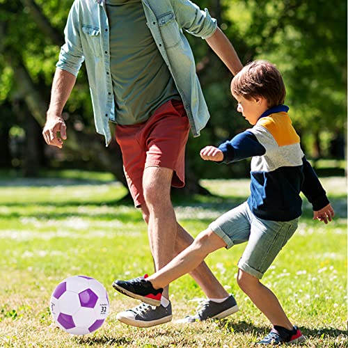 Size 2 Purple Soccer Ball with Pump - Indoor & Outdoor Training
