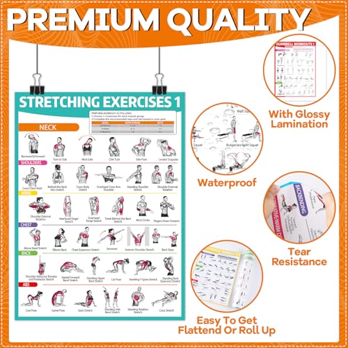 8-Piece Workout Poster Set for Home Gym - Dumbbells, Bodyweight, Stretching, Kettlebell