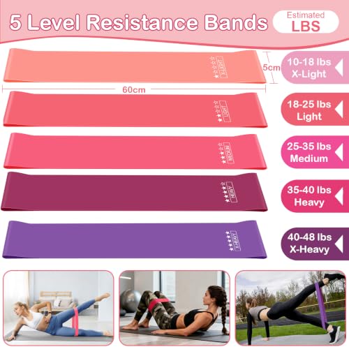 Pilates Kit for Women - 17 PCS Set with Ring, Ball & Bands - Pink