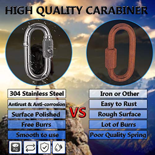 M3.5 Stainless Steel D Shape Locking Carabiner Keychain - 6 Pack