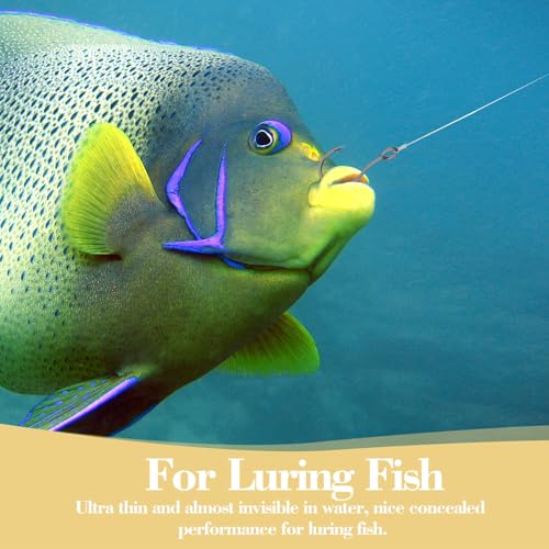 Invisible Fishing Bait Elastic Thread - 2 Pack, 820 FT Each