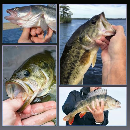 EWG Worm Hooks - Weedless Bass Fishing Hooks 6# - 50pcs