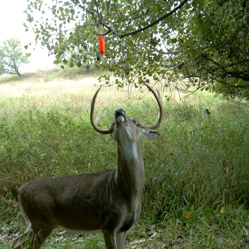 Wildlife Research Quik-Wiks Scent Dispenser 3-Pack for Hunting & Trails