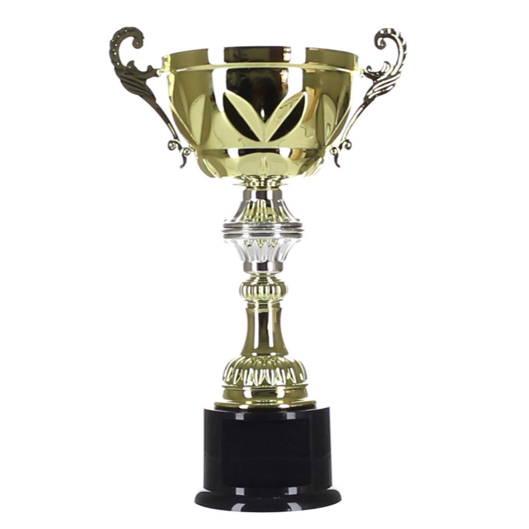 Decade Awards Gold and Silver Cup Trophy - Custom Engraved Metal Cup Corporate Award - Customize Now (G/S-10 Inch Tall)