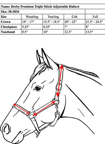 Derby Originals Cob Havana Leather Horse Halter with Triple Stitch & Adjustable Fit