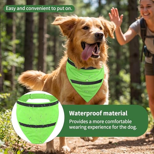 High Visibility Reflective Dog Vest - 2 Pack, Fits Neck 16-20.5 Inches