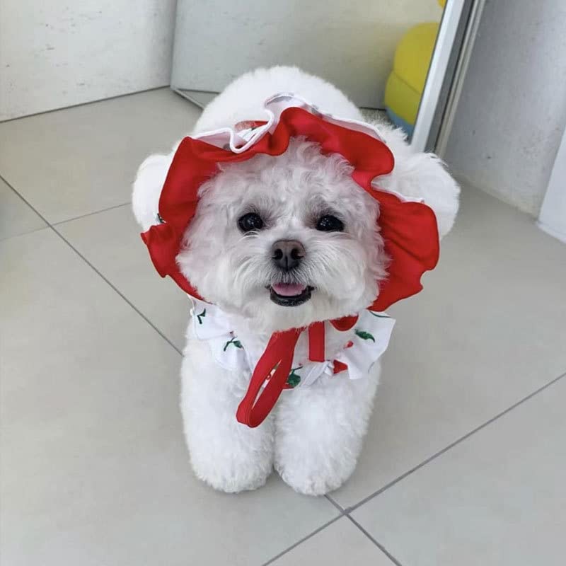 IMDOUBLEDOU Cherry XX-Large Dog Swimsuit & Sun Cap Set - Puppy Beach Outfit for Swimming & Bathing