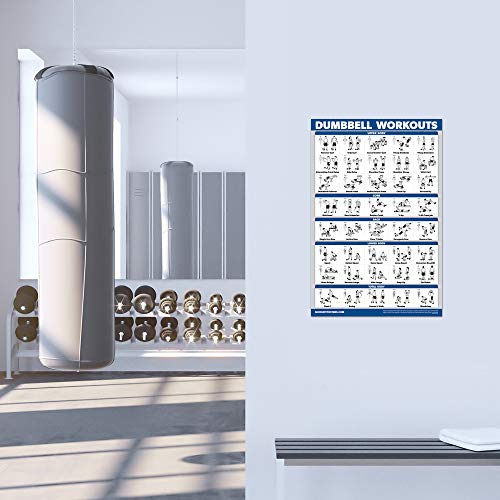 Muscle Workout Charts Set - 4 Laminated Posters 18" x 24"