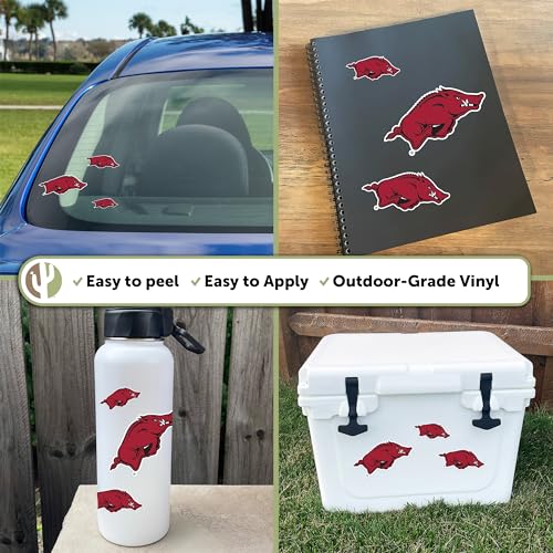 Arkansas Razorbacks T3-1 Desert Cactus Vinyl Sticker Decal College Fan Gear