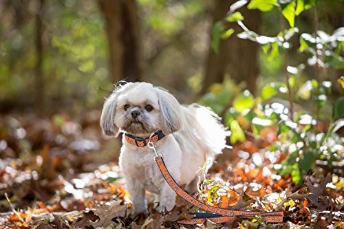 NCAA Dog Leash - Large Auburn Tigers, Heavy-Duty Nylon