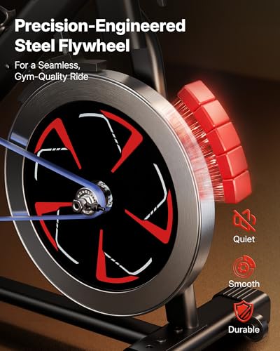 Magnetic Exercise Bike for Home Gym - S38 Red, 300 lbs Capacity