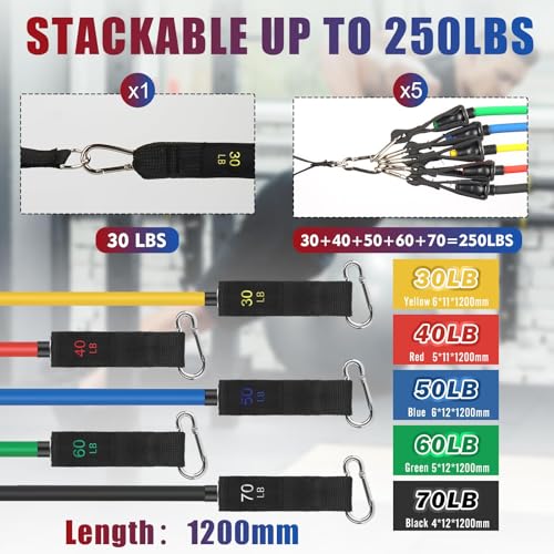 WIKDAY 250 lb Resistance Bands with Handles – All-in-One Home Gym Kit for Beginners