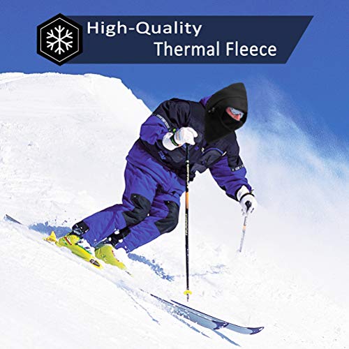 HIG 2-Pack Windproof Winter Balaclava Ski Masks for Men & Women, One Size, Black