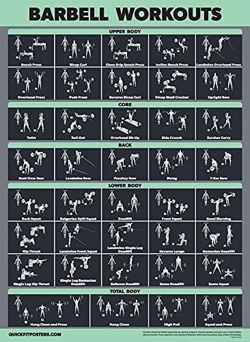 Dumbbell & Barbell Exercise Poster Set - Laminated 2 Pack (18" x 24")
