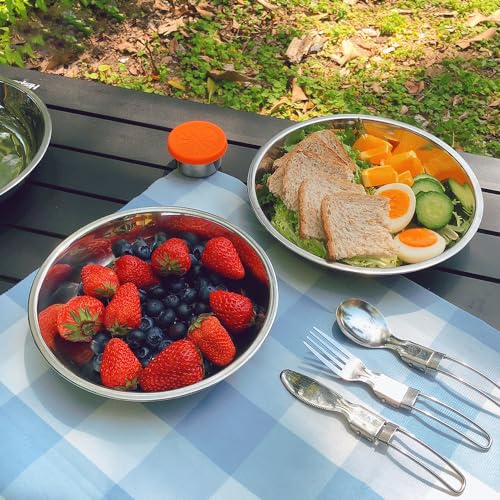 TOPZEA 10 Pack 9 Inch Stainless Steel Dinner Plates – Unbreakable, Stackable Camping & Picnic Dishes