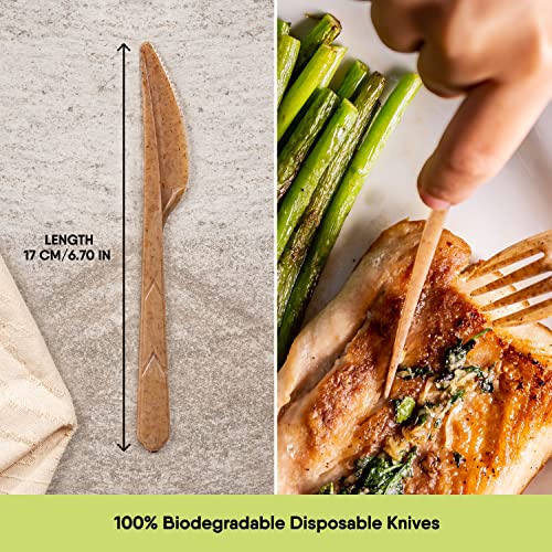 Brown 100 Pcs 6.7” Biodegradable Vegetable Fiber Disposable Knives - Heavy-Duty, Splinter-Free