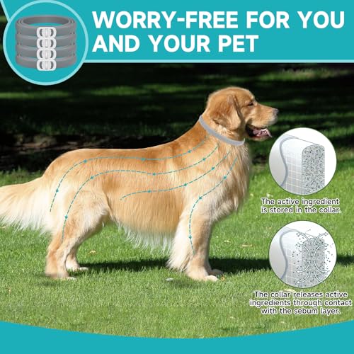 Flea & Tick Collar for Dogs – 4-Pack, 32 Months Protection, Adjustable