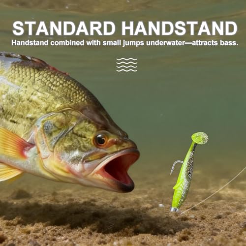 Ned Rig Jig Heads Set - 40 Pieces with Classic Mushroom Design
