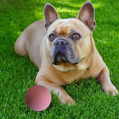 Rubber Handballs - 2 1/4 Inch, Pack of 3, Pink