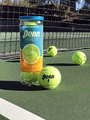 Tennis Balls - Penn Tribute Optic Yellow - 1 Can, 3 Balls