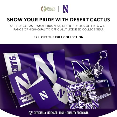 Northwestern University Paper Plates - 20 Count, 9 Inch Round