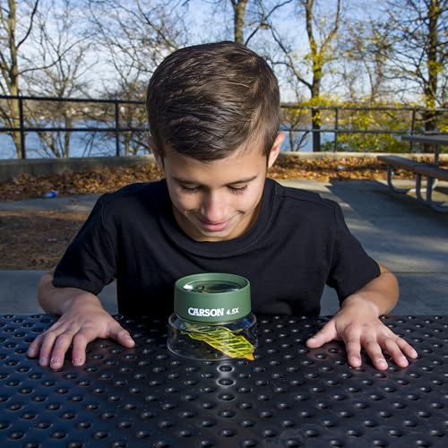 Carson Kids BugLoupe 4.5X Magnifier Stand for Insects, Plants, Coins, Stamps