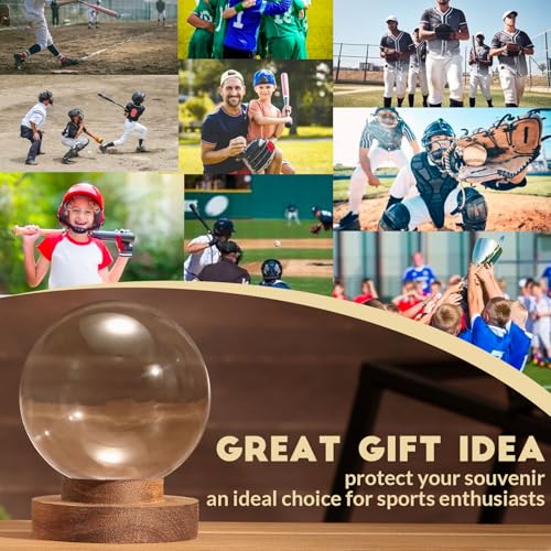 Baseball Display Case with Wooden Base - Round Clear Ball Holder