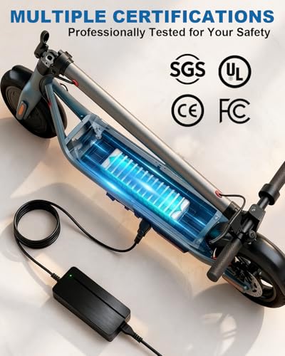 BICMDO 24V 2A Scooter Battery Charger for Razor E100 E200 E300 E125 E500, 3-Prong Matte Black