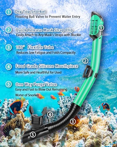 Adult Snorkeling Gear Set - Panoramic Anti-Fog Mask & Dry Snorkel - Malachite Green
