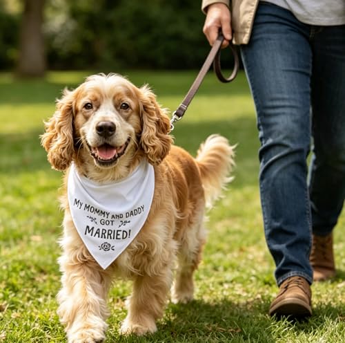 Wedding Dog Bandana - 28" White 'Got Married' Scarf for Pets