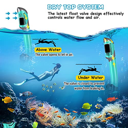 Greatever Snorkeling Mask Set for Adults & Kids, Anti-Fog Dry Snorkel, Black Green, Large