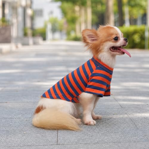 Medium Breathable Cotton Dog T-Shirt for Small Dogs Chihuahua Puppy - Orange & Blue Stripes