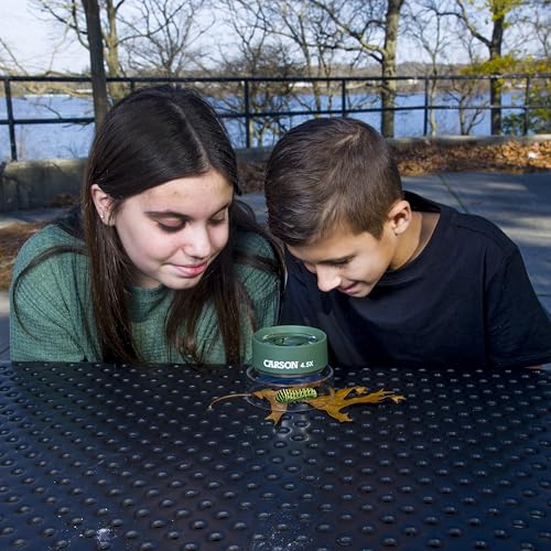 Carson Kids BugLoupe 4.5X Magnifier Stand for Insects, Plants, Coins, Stamps