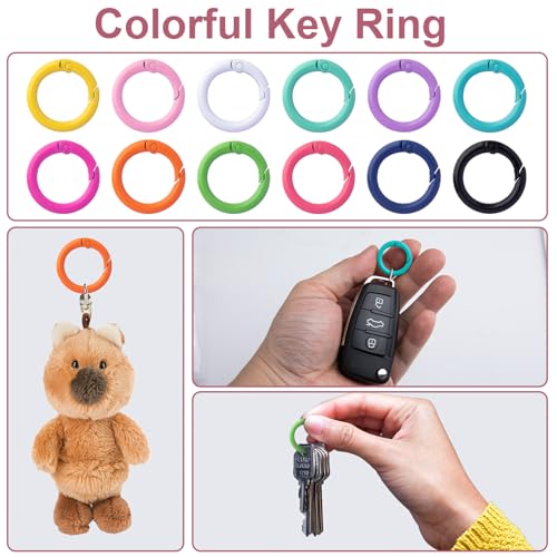 24mm Metal Spring O Rings - Round Colorful Key Ring Clips (24Pcs)