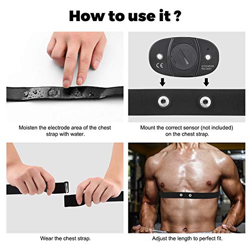 Replacement Heart Rate Monitor Chest Strap - Black / 36 Inch