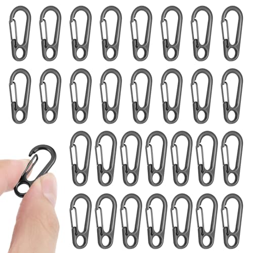 30 PCS Mini Carabiner Clip, Metal Spring Snap Hook Keychains Small