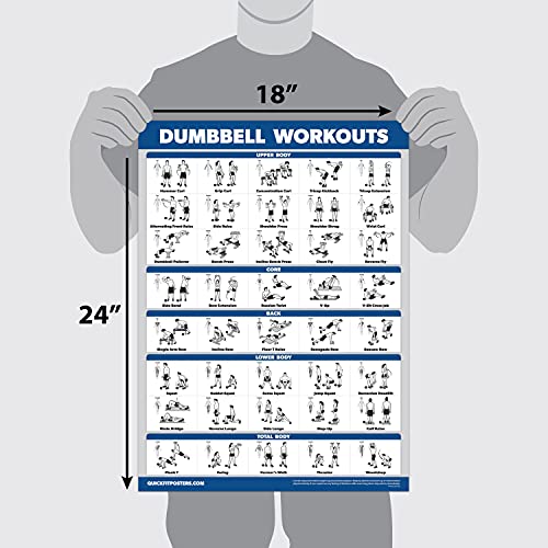 Dumbbell Workout Poster Set - Laminated 18" x 24" - Volumes 1 & 2
