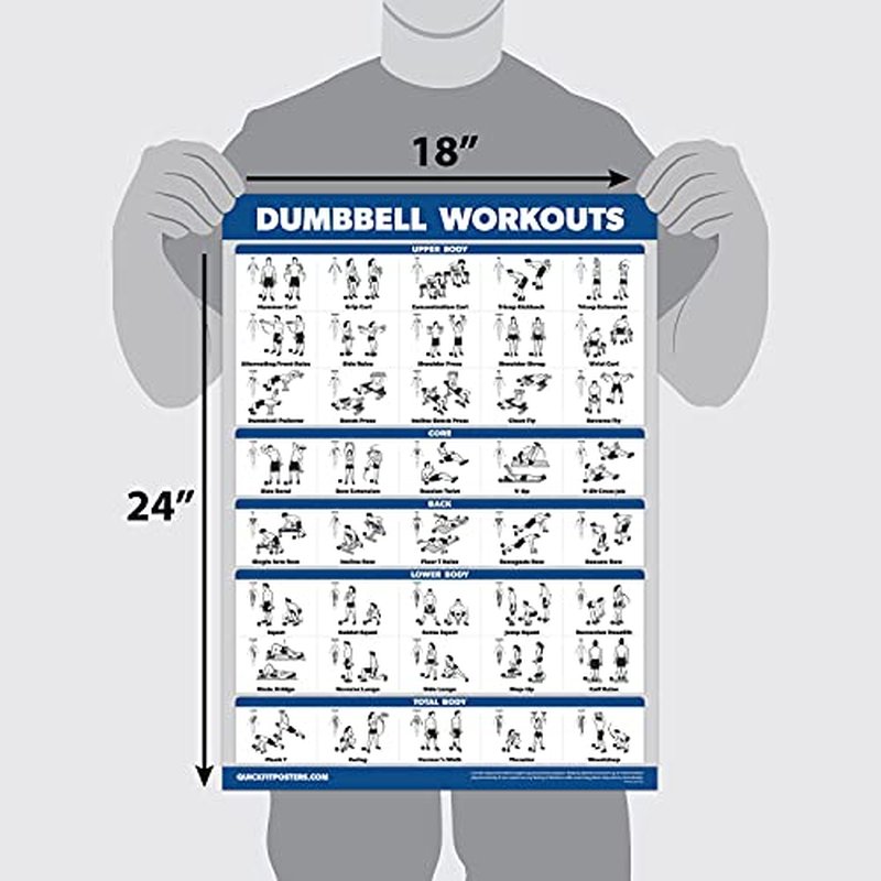 Palace Learning 4 Pack - Dumbbell Workouts + Bodyweight Workouts + Stretching Exercises + Yoga - Set of 4 Workout Charts (18” x 24”, LAMINATED)