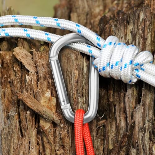 3" Aluminum Carabiner Keychain Clip - Silver D Ring Set