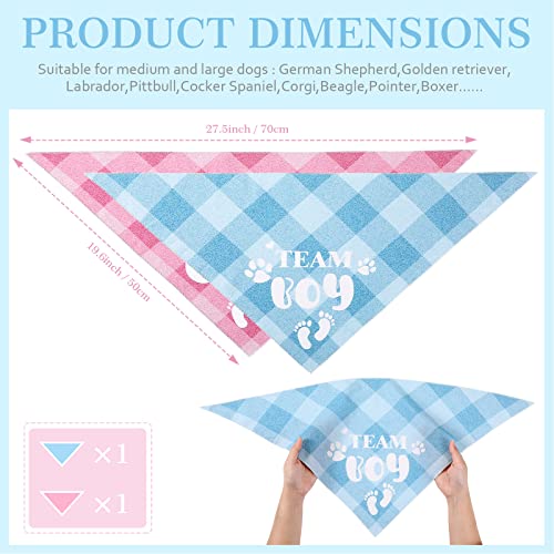 2 Pack Gender Reveal Dog Bandanas - Pink & Blue