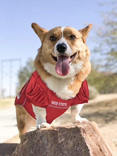 Ohio State Buckeyes Mesh Dog Jersey for Pets - Medium Size