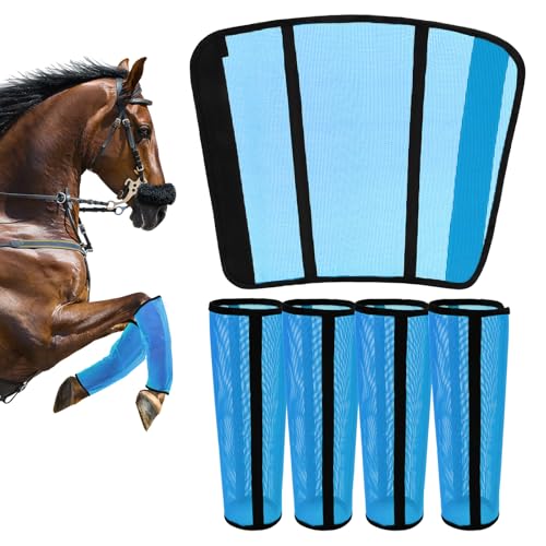 Horse Fly Boots Set of 4 - Curved-Edge Design, Breathable Mesh, Blue - Medium